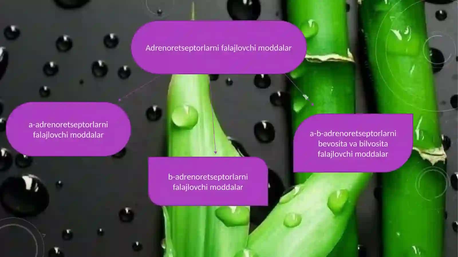 Adrenoblakatorlar va simpatolitiklar 2
