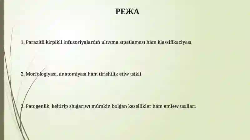 Parazit kirpikli infuzoriyalar 2