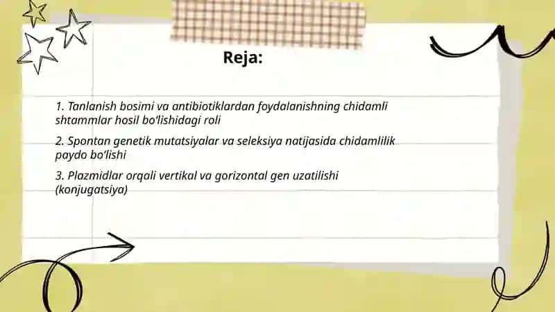 Kimyoterapevtik preparatlar va antibiotiklarga bakteriyalarning chidamli shtammlarining shakllanish mexanizmi 2