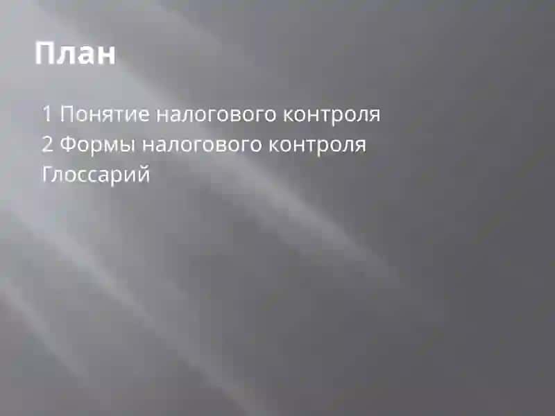 Формы налогового контроля 2