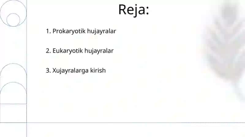 Eukaroit va prokariot organizmlar 2
