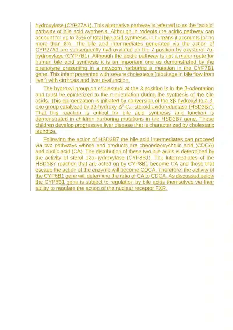 Bile Acid Synthesis and Utilization 2