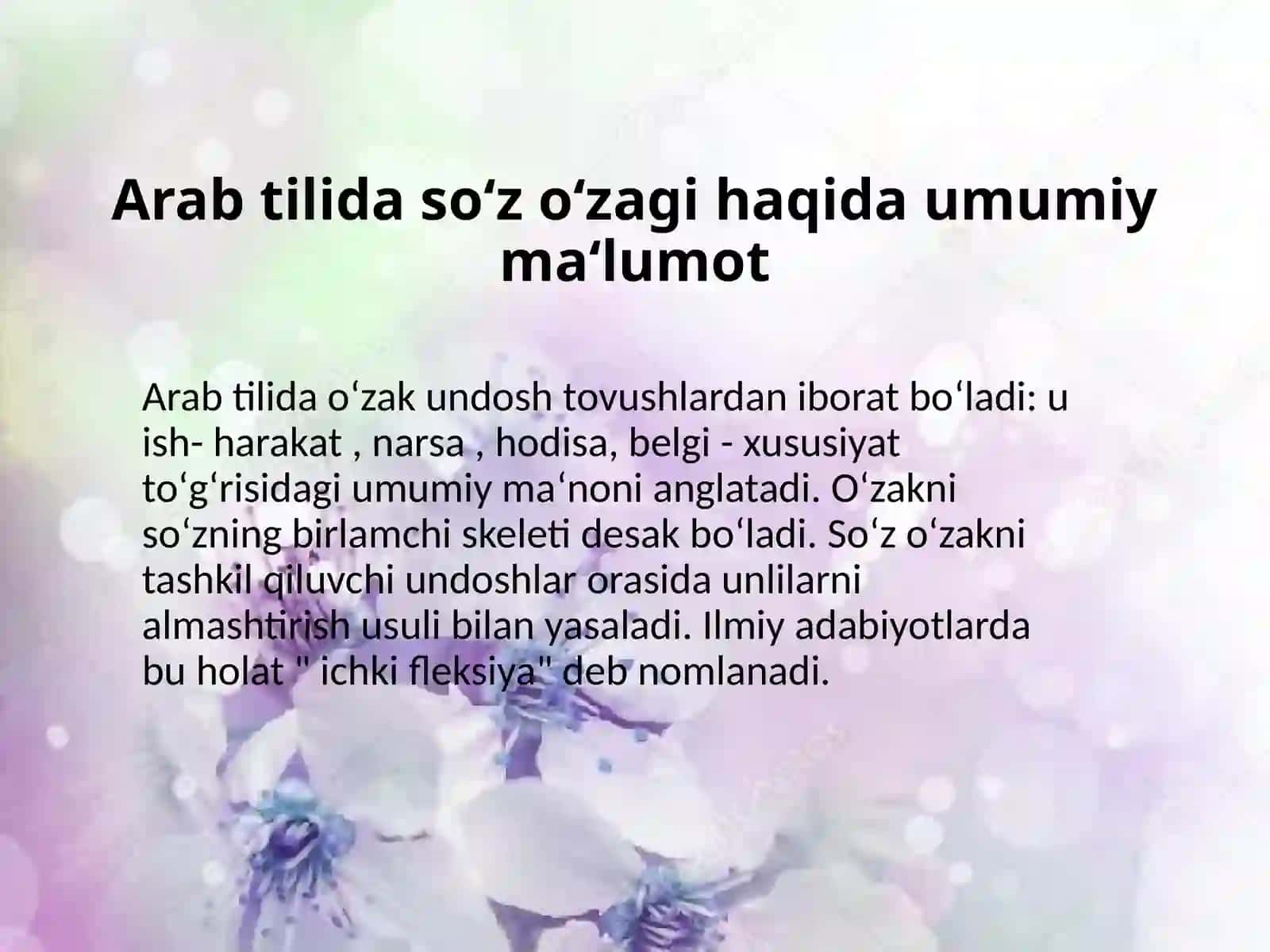 So‘z o‘zagi va o‘zakning turlari. Noo‘zak harflar.So‘z vaznlari 2