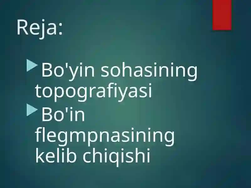 Bo'yin flegmonasi 2
