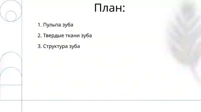 Строение зуба 2