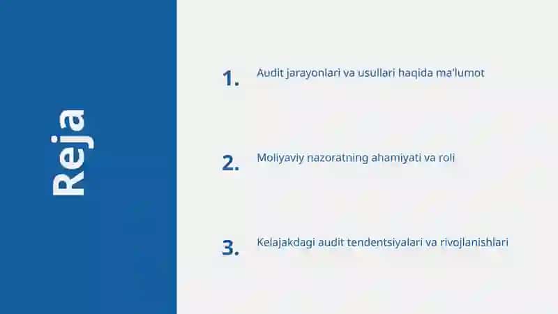 Audit va moliyaviy nazorat 2