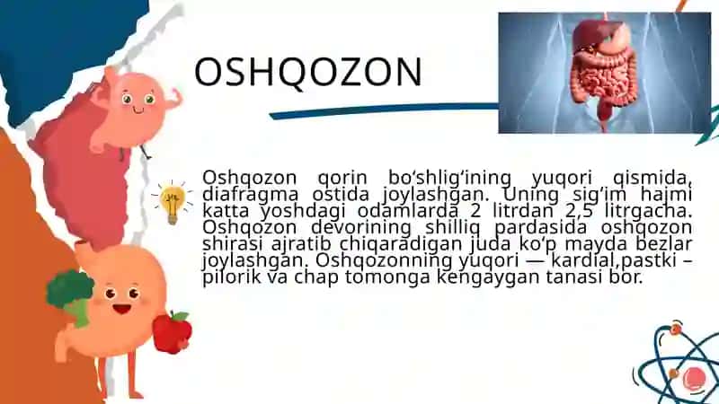 Ovqat hazm qilish sistemasi 2