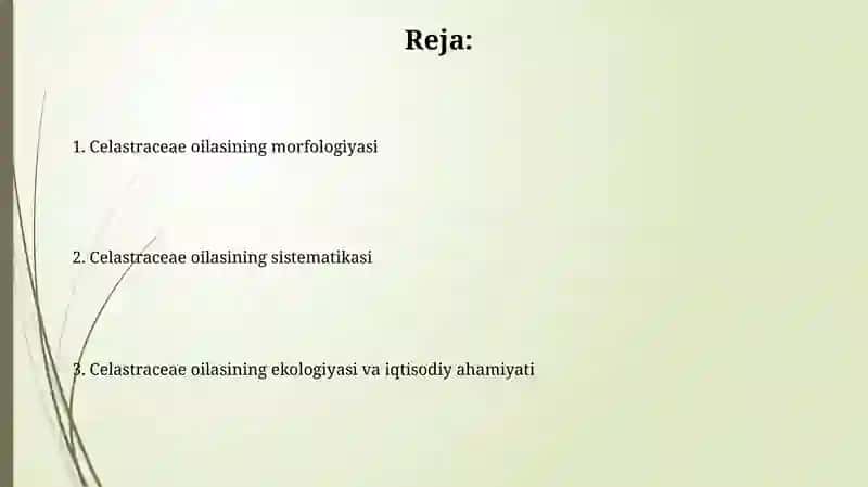 Normushkdoshlar (Celastraceae) oilasi 2