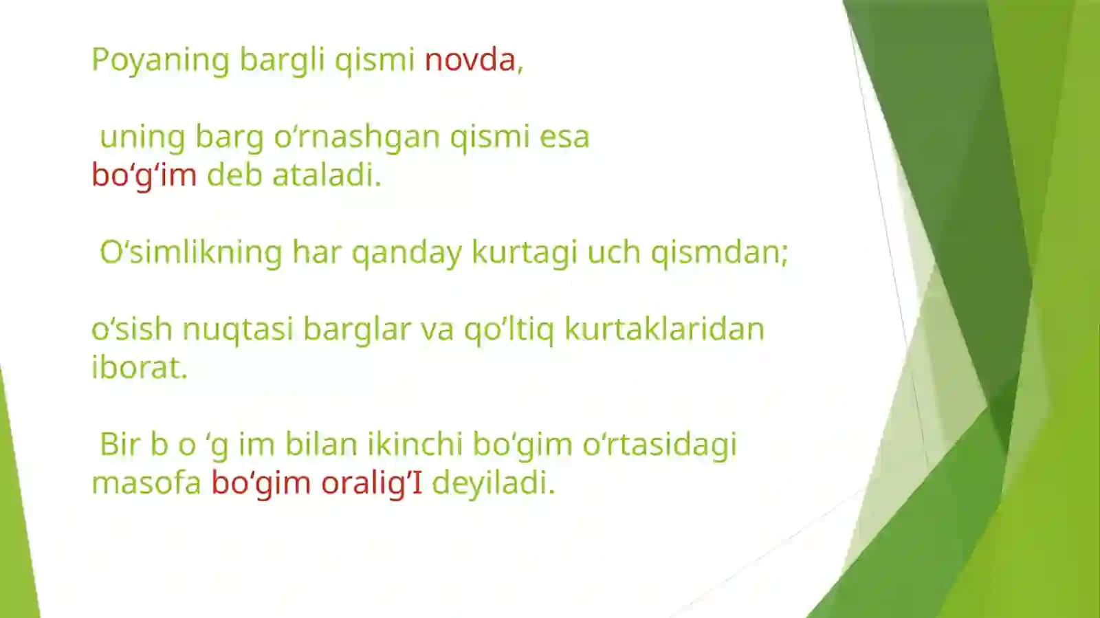 Novda va uning kurtaklarining tuzilishi 2