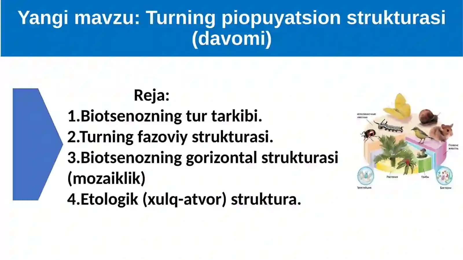 Turning populyatsion strukturasi 2