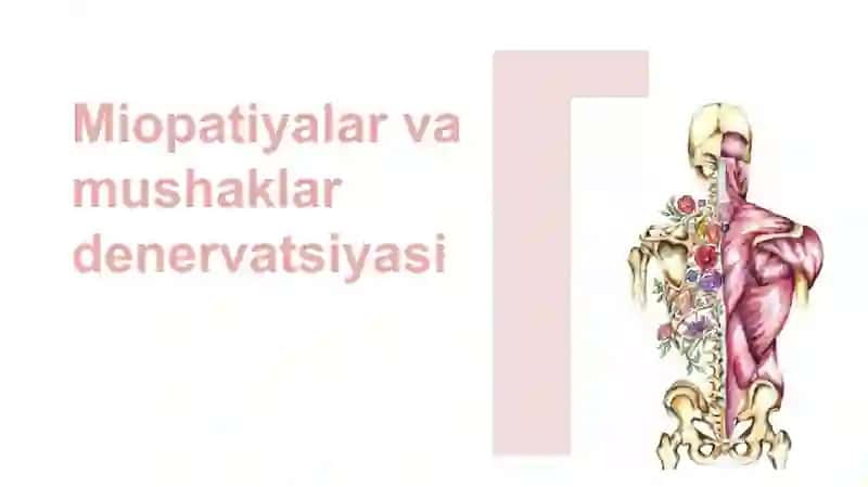 Miopatiyalar va mushaklar denervatsiyasi 2