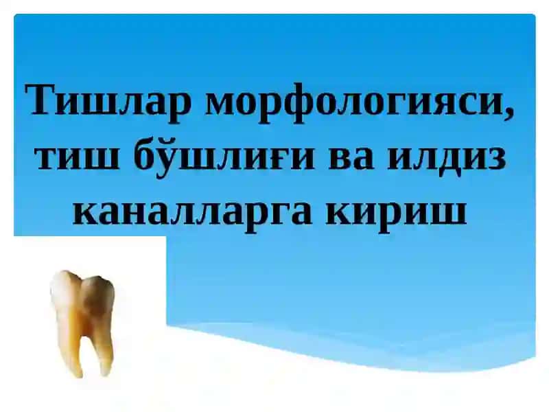 КЛИНИК ЭНДОДОНТИЯ 2