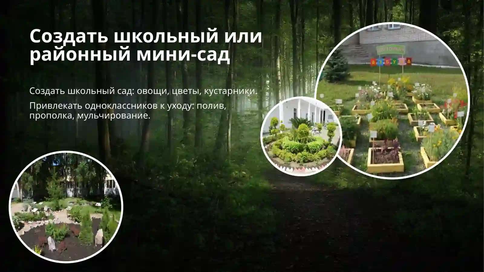 Сажать деревья в своем районе 2