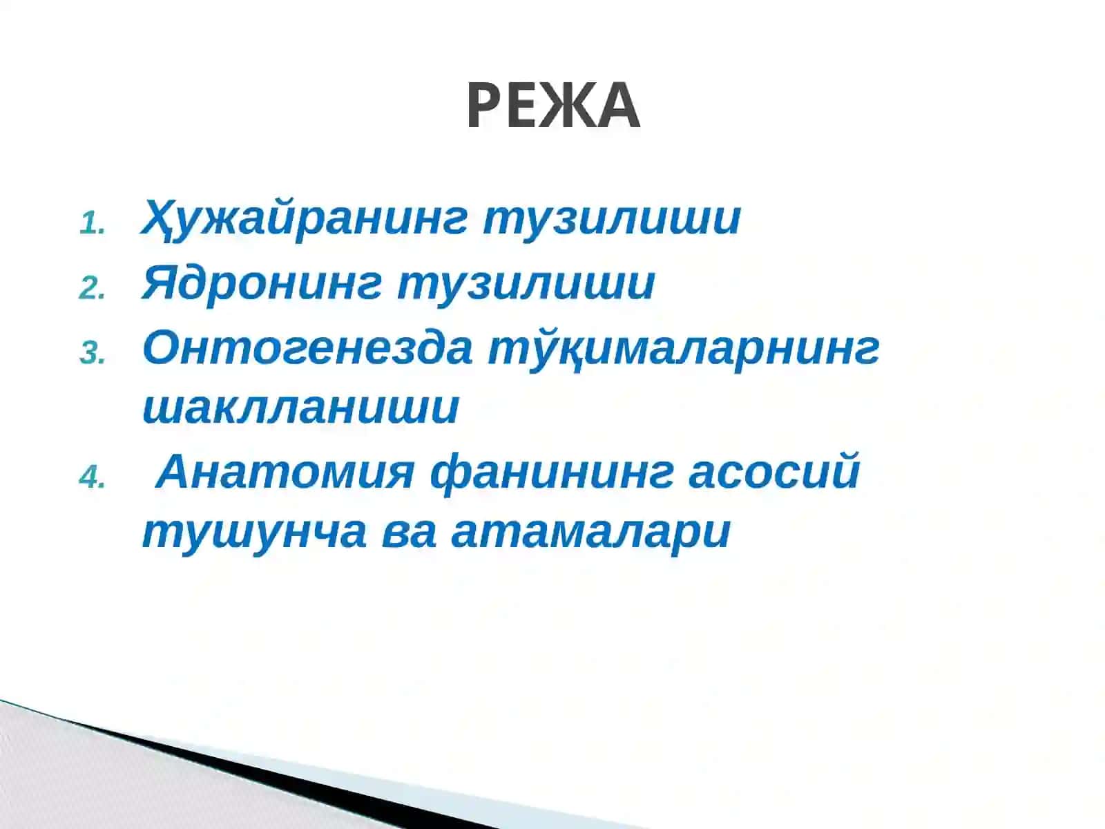 Онтогенезда тўқималарнинг шаклланиши 2