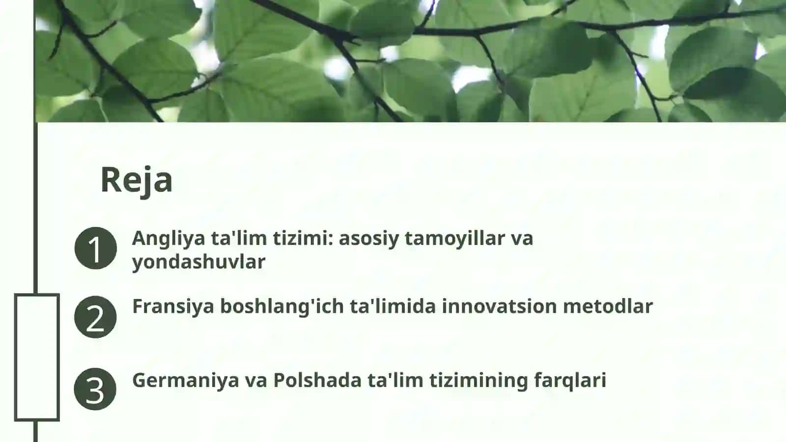 Angliya boshlang'ich ta'lim tizimi 2