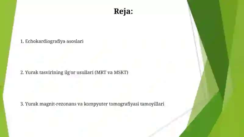Yurak magnit-rezonans tomografiyasi (Y MRT) 2