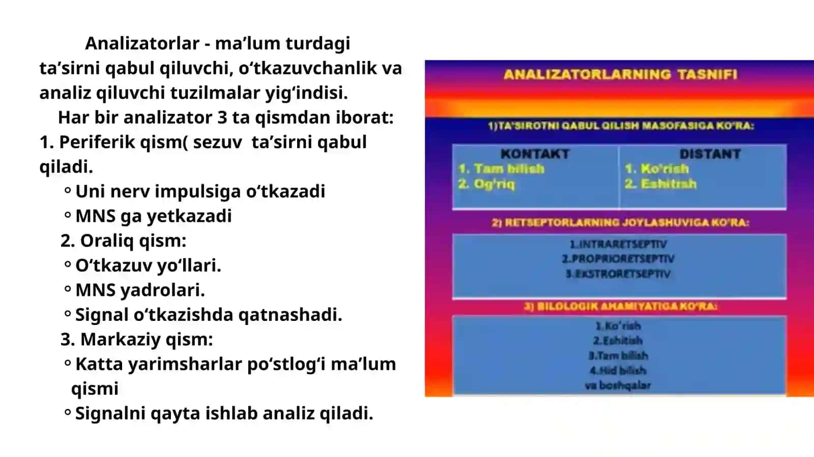 Analizatorlar 2