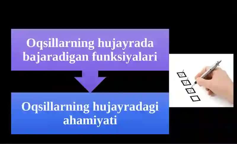 Oqsillarning funksiyalari 2
