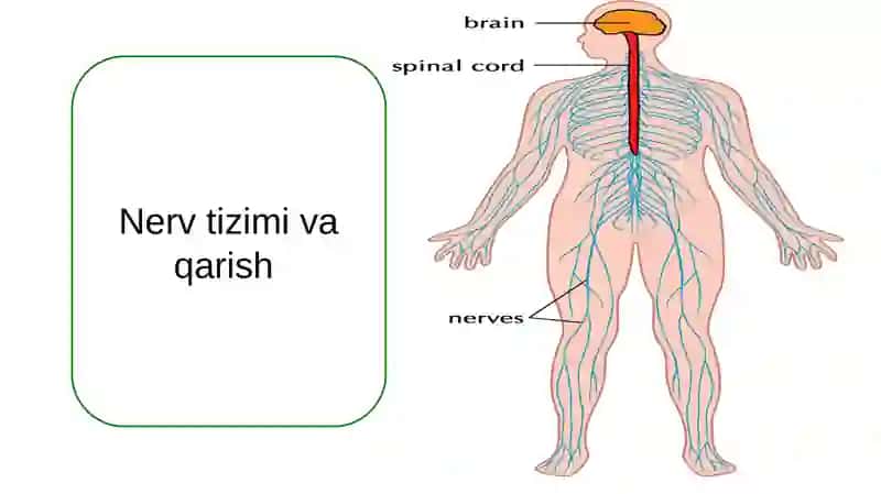 O'zbekiston Milliy Universiteti Ijtimoiy Fanlar Fakulteti 2
