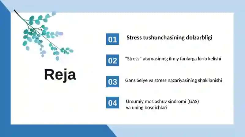 Stress va uning bosqichlari 2