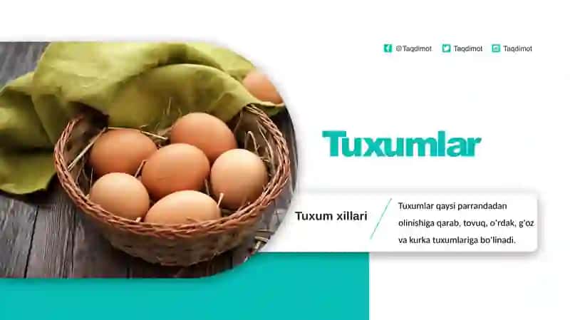 Tuxumlar 2
