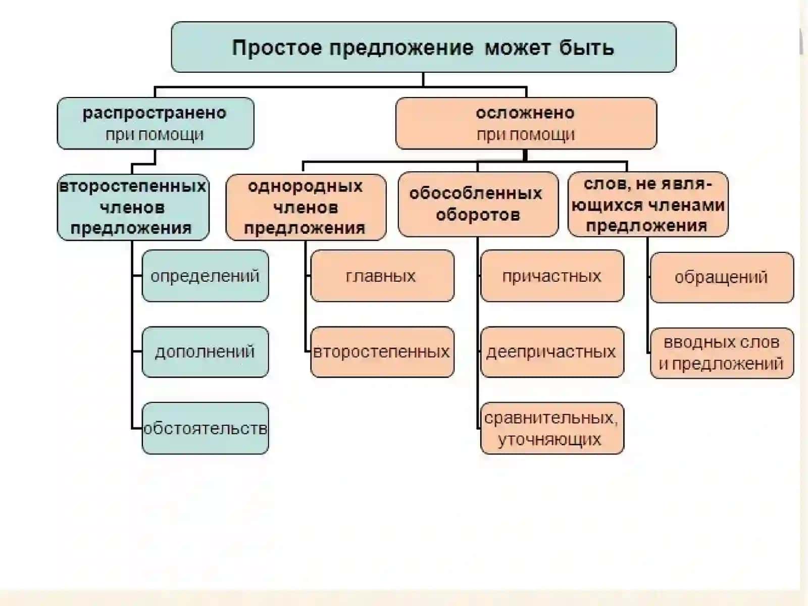 Простое осложнённое предложение 2