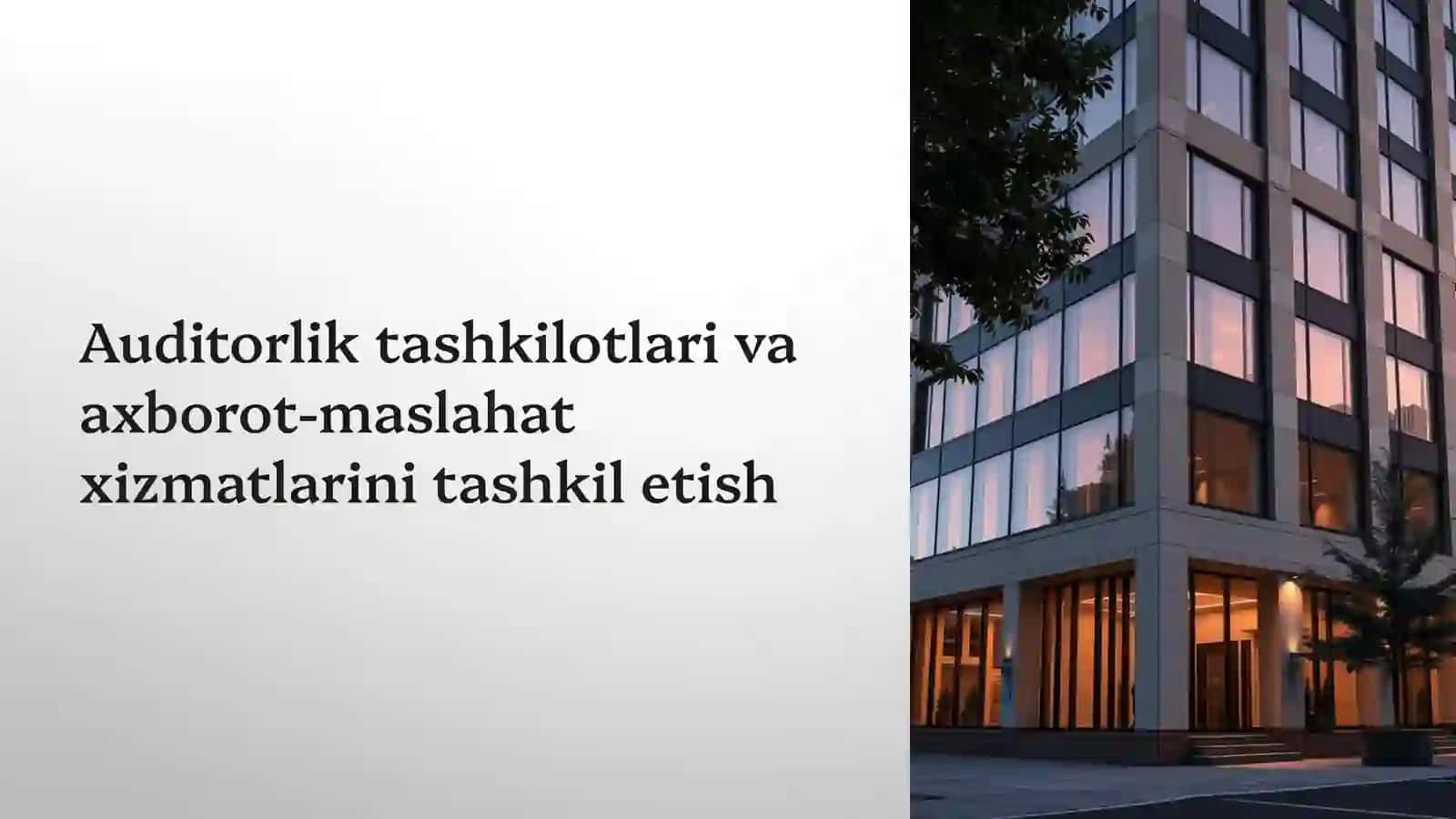 Auditorlik tashkilotlari va axborot-maslahat xizmatlarini tashkil etish 2