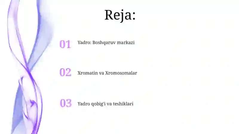 Yadro va uning tuzulishi 2