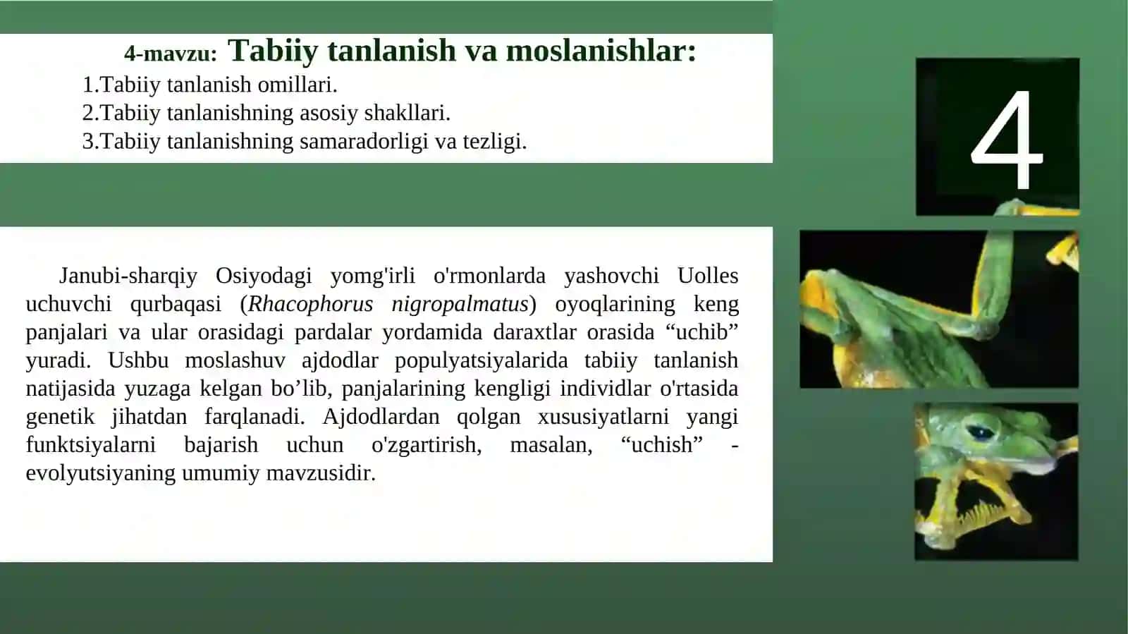 4-mavzu: Tabiiy tanlanish va moslanishlar 2