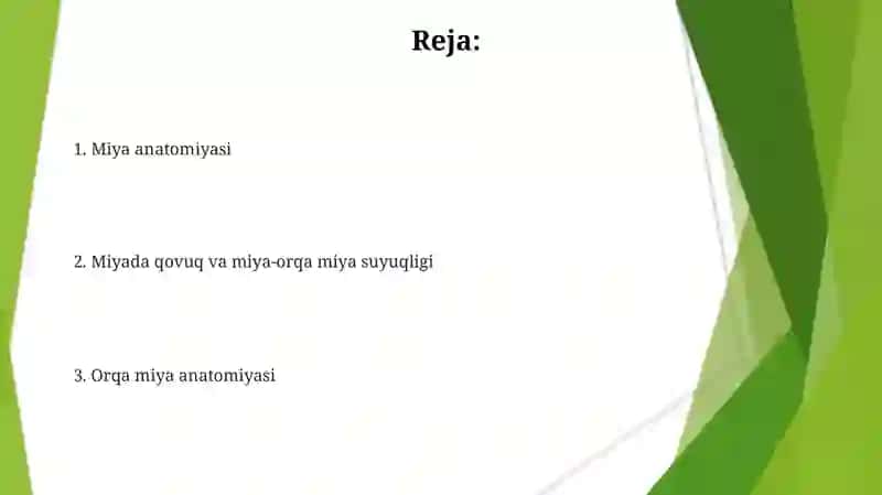 Markaziy nerv sistemasi anatomiyasi 2