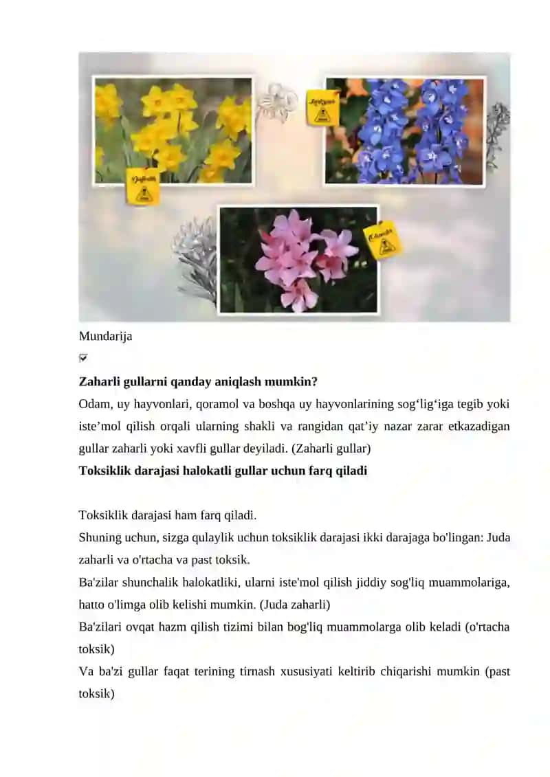 Zaharli gullar 2
