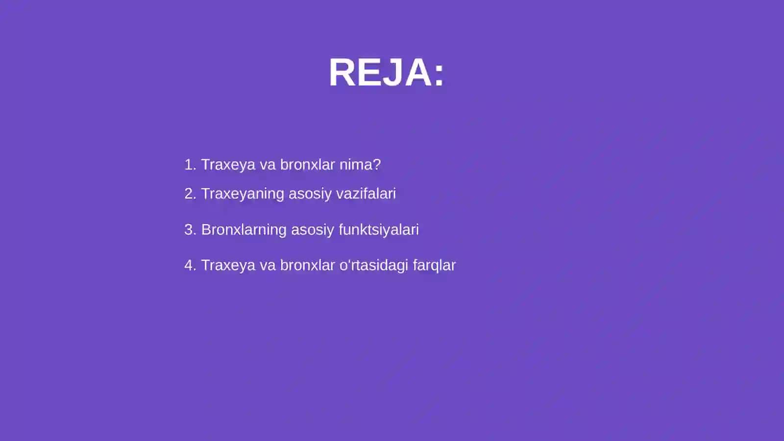 Traxeya va bronxlar haqida umumiy ma’lumot 2