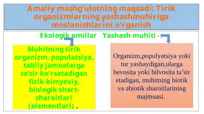 11 – sinf biologiya amaliy mashg’ulot 2
