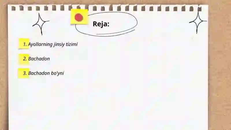 Ayollarning ichki jinsiy aʼzolari 2