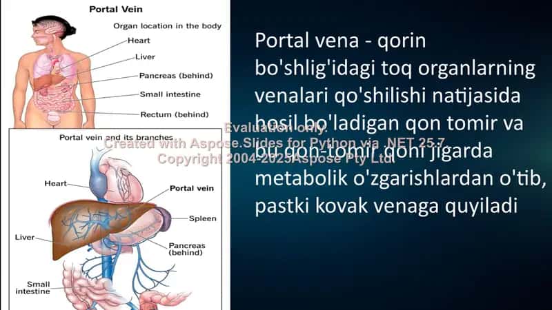 Portal gipertenziya 2