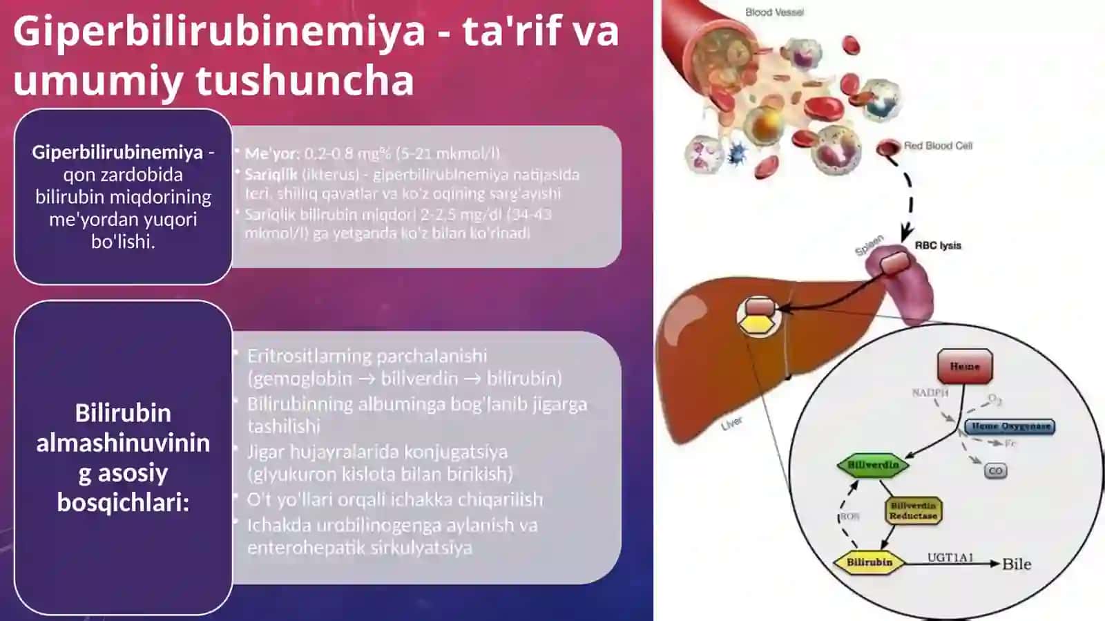Giperbilirubinemiya va Sariqlik Turlari 2