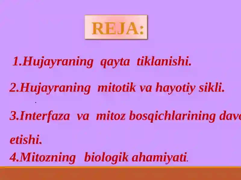 Hujayraning mitotik va hayotiy sikli 2
