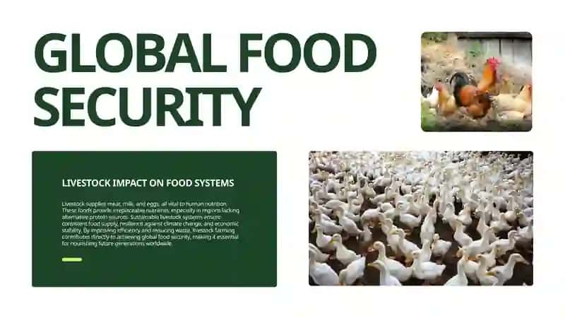 Livestock Feeding the World, Sustaining Communities 2