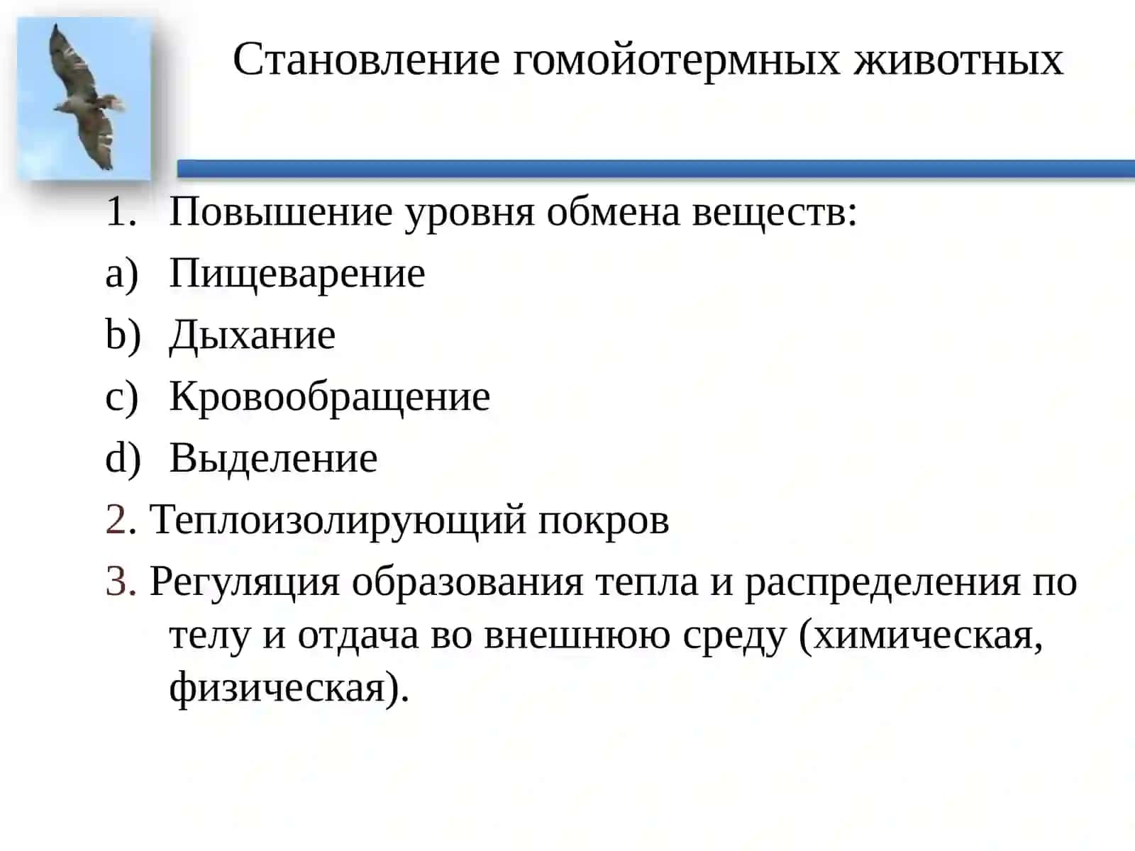 КЛАСС ПТИЦ 2