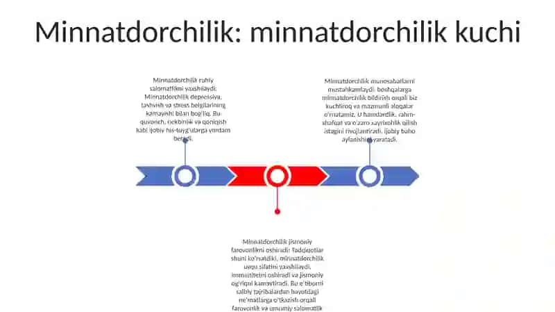 Minnatdorchilik 2