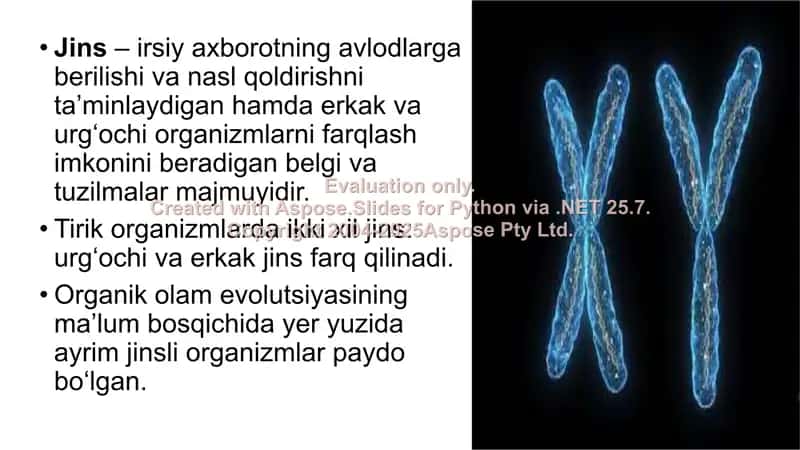 Jins genetikasi 2