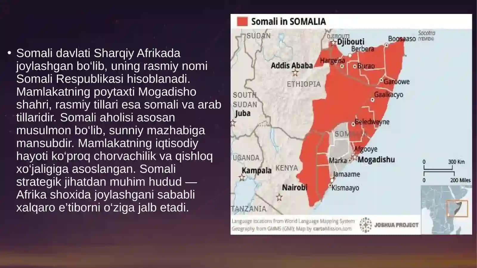 Somali davlati  ziddiyatlari slayd 2