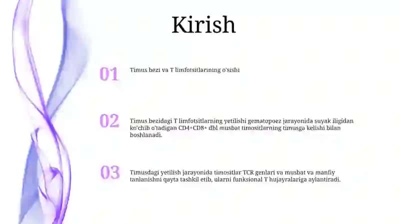 Timusdagi T Limfositlarning Yetilish Jarayoni 2