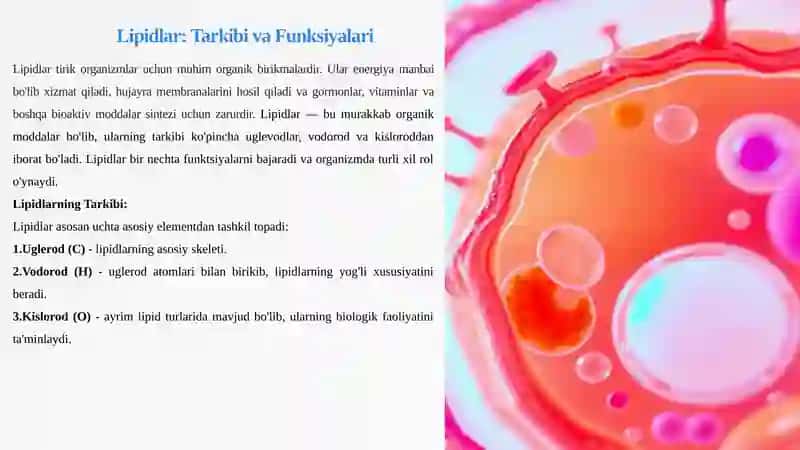 Lipidlar 2
