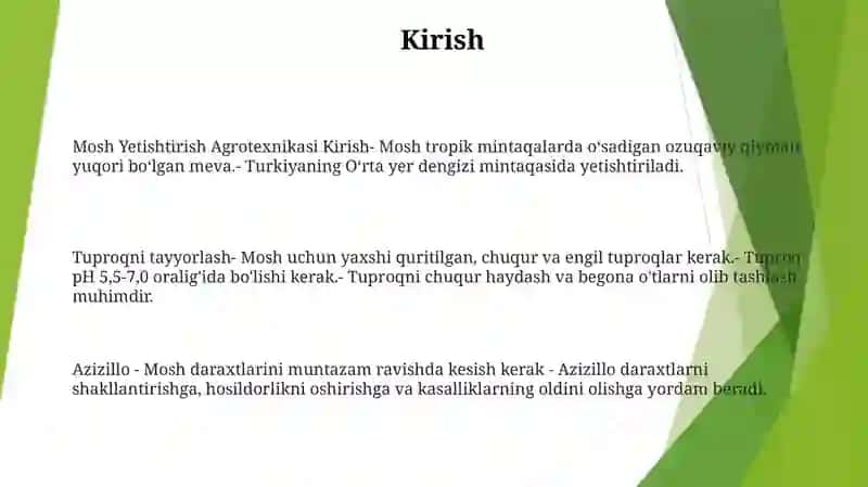 Mosh Yetishtirish Agrotexnikasi 2