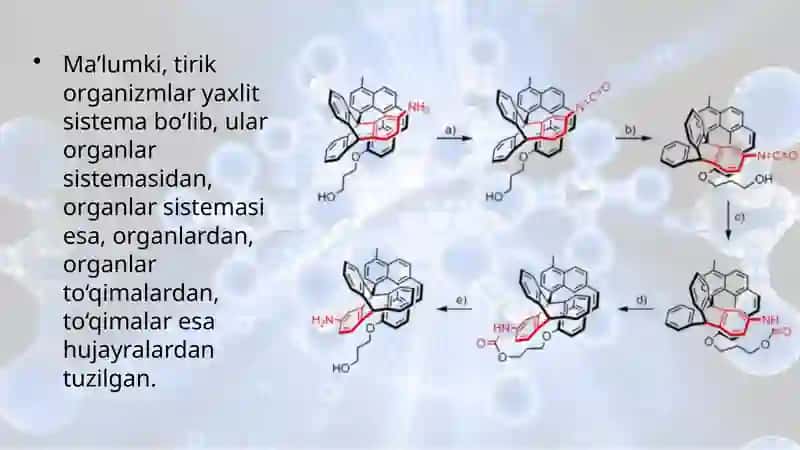 Hayotning molekula darajasi va uning o‘ziga xos jihatlari 2