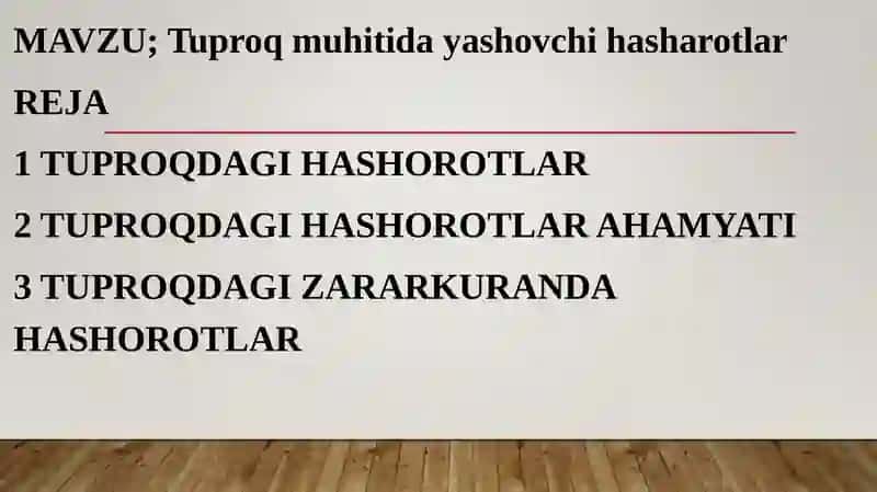 Tuproqda Yashovchi Hasharotlar 2