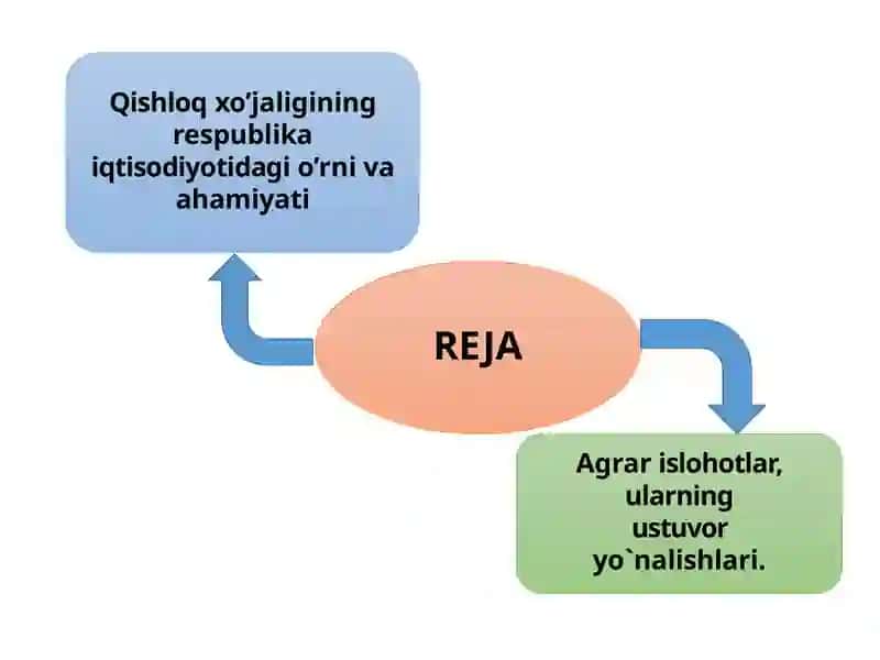 Qishloqxo’jaligi 2