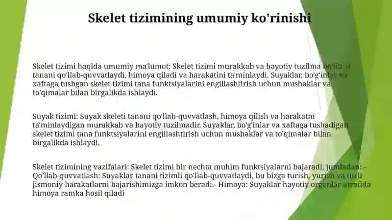 Suyaklar Sistemasi 2