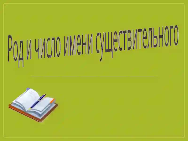 Род и число имени существительного 2